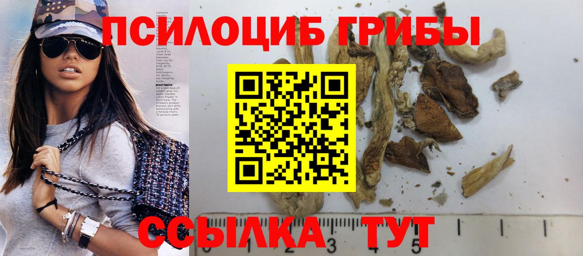 Лосино-Петровский  Псилоцибиновые грибы Cubensis  Псилоцибиновые грибы GOLDEN TEACHER  Вход с VPN 